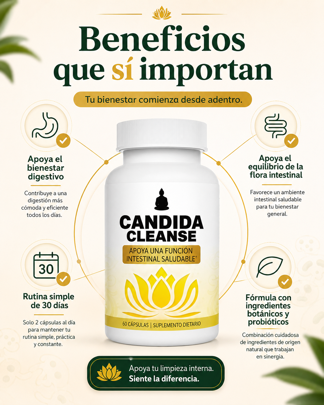 CANDIDA CLEANSE original